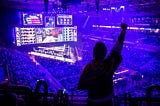 Esports Tournaments and Organizers: Digital Competition