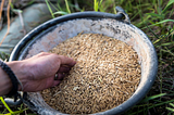 BUYING THE BEST RICE HUSK: