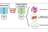 Snowflake in drug discovery: Fine tuned ChemBerta for toxicity prediction