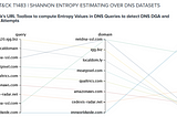 Use of Shannon Entropy Estimation for DGA Detection