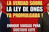 La verdad sobre la ley de las ONGs, Gustavo Leite y Enrique Vargas Peña lo revelan, en detalle.