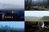 Flevoland: a drama of lost islands and conquered sea