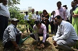 Together for a Greener Tomorrow: Celebrating World Environment Day