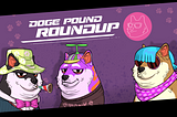 Doge Pound Roundup: Gaming Community, Doge Swaps, Shelter And More