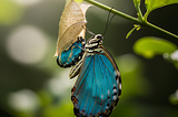 Reclaiming Jesus’ Teaching of Spiritual Rebirth