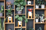How To Select A Good Artificial Plant For Your Office
