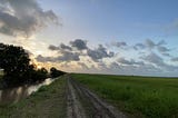 Rice fields on the left and pontoon trenches on the right.