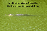 A crocodile is swimming in green water.