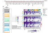 The RNAseq Strategy Elite Drug Developers Use — But Others Miss