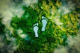 Why Have Web3 Climate Solutions Delayed in Picking Up
