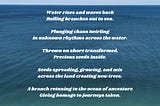 The Ocean of Ancestors
