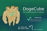 What is DogeCube?