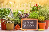 Mini Herbs Garden Ideas