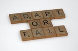 Change or Fail: The Shocking Truth about the Importance of Adaptability in IT Project Management.