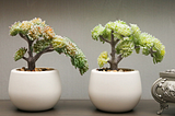 artificial mini plants for desk docor , faux small plant for home decor , fake plants for table decor , fake plants for shelf decor