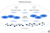 Platform Economy