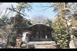 The difference between shrines and temples