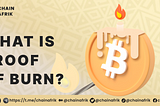 What Is Proof of Burn ?