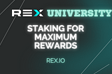 How To Increase Your Crypto Portfolio — maximize crypto staking rewards with REX!