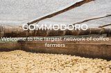 Development of the full stack web application “Commodoro”
