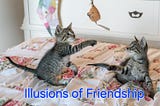 Illusions of Friendship