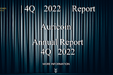 REPORT AS OF NOVEMBER 23, 2022 OF THE DEVELOPMENT OF THE AURICOIN MONEY MACRO PROJECT.