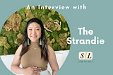 An Interview with Suran Yoo of Silk or Lace
