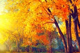 Picture of autumn, fall scene. By Annette lathion