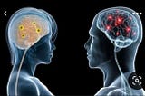 Male vs. Female Brains: Understanding the Differences.