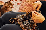 Fascinated — yarn-focused felines ignore the knitter’s protest.