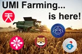 UMI Staking and Farming coming to Sora Network