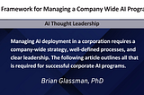 A Framework for Managing a Company Wide AI Program