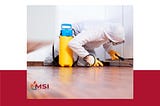 Mold Inspection Services