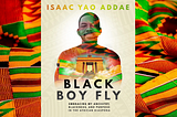 Black Boy Fly: My New Book