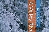Book published on Amazon, Available on Amazon, In A Valley Shadowed, Book