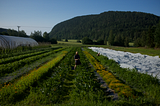 The true cost of food
