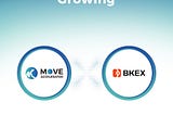 BKEX Labs Joins Move Accelerator to Provide Comprehensive Support