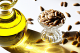 The Role of Fats in Your Diet: Understanding the Importance of Healthy Fats