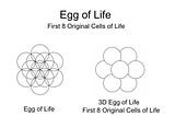 THE 8 ORIGINAL CELLS