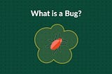 What is a Bug in Software Testing?