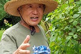 Learning like a Japanese Garden