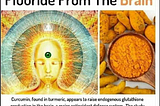 Turmeric: The Brain’s Secret Weapon Against Fluoride (And Maybe Zombies)