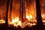 Leveraging Machine Learning to predict wildfires: Contributing to the United Nation’s Sustainable…