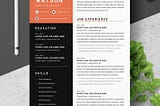 Business Analyst Resume Template