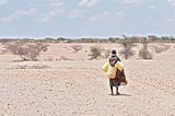 Kenyan pastoralist women build up adaptive capacity amid climate crisis