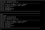 How to write cross-platform packet capture from scratch in 1000 LOC.