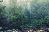 The brook was all before me
Still & steadfast 
I reposed to the rocks
Extending my arms & legs…