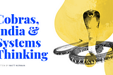 Cobras, India and Systems Thinking