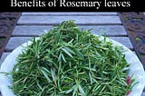 Rosemary leaves : రోజ్మెరీ ఆకులతో ఆరోగ్య ప్రయోజనాలు
#rosemerry #rosemaryoil #rosemary…