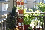 Urban Oasis: Transform Your Apartment Balcony into a Lush Garden Paradise [All-You-Need for…